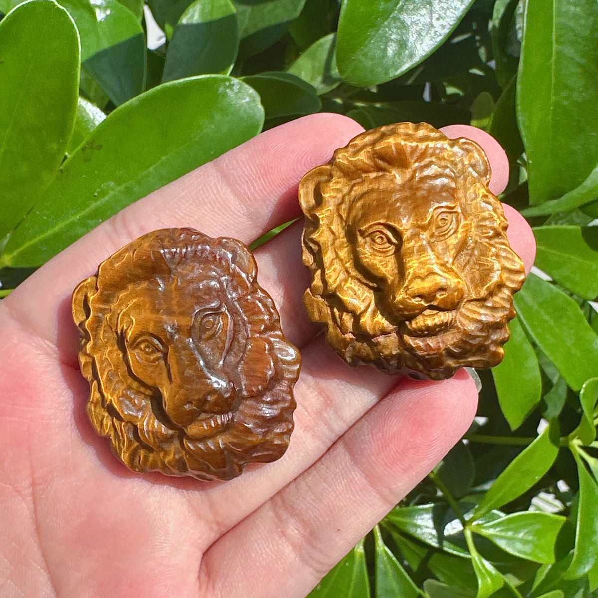 Tiger Eye Stone Lion Carving