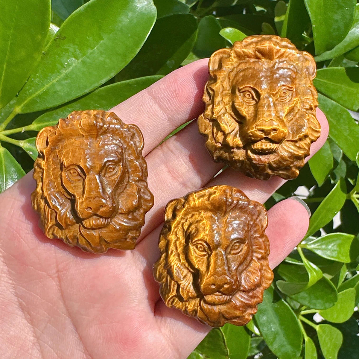 Tiger Eye Stone Lion Carving