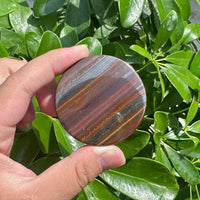Tiger Iron Disc