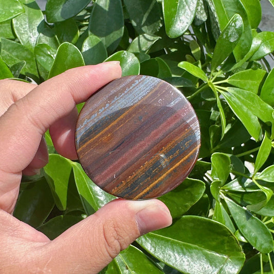 Tiger Iron Disc