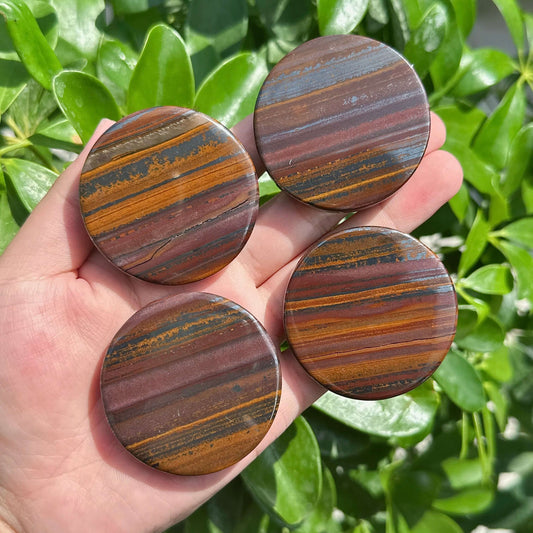 Tiger Iron Disc