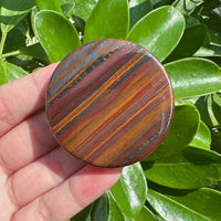 Tiger Iron Disc