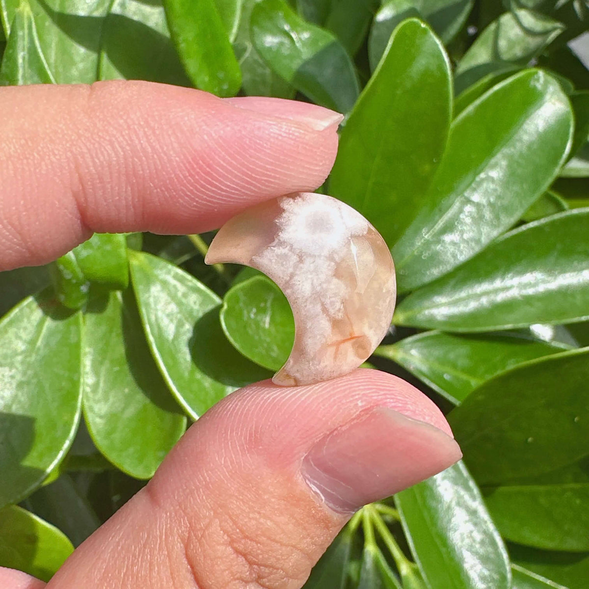 Flower Agate Mini Moon