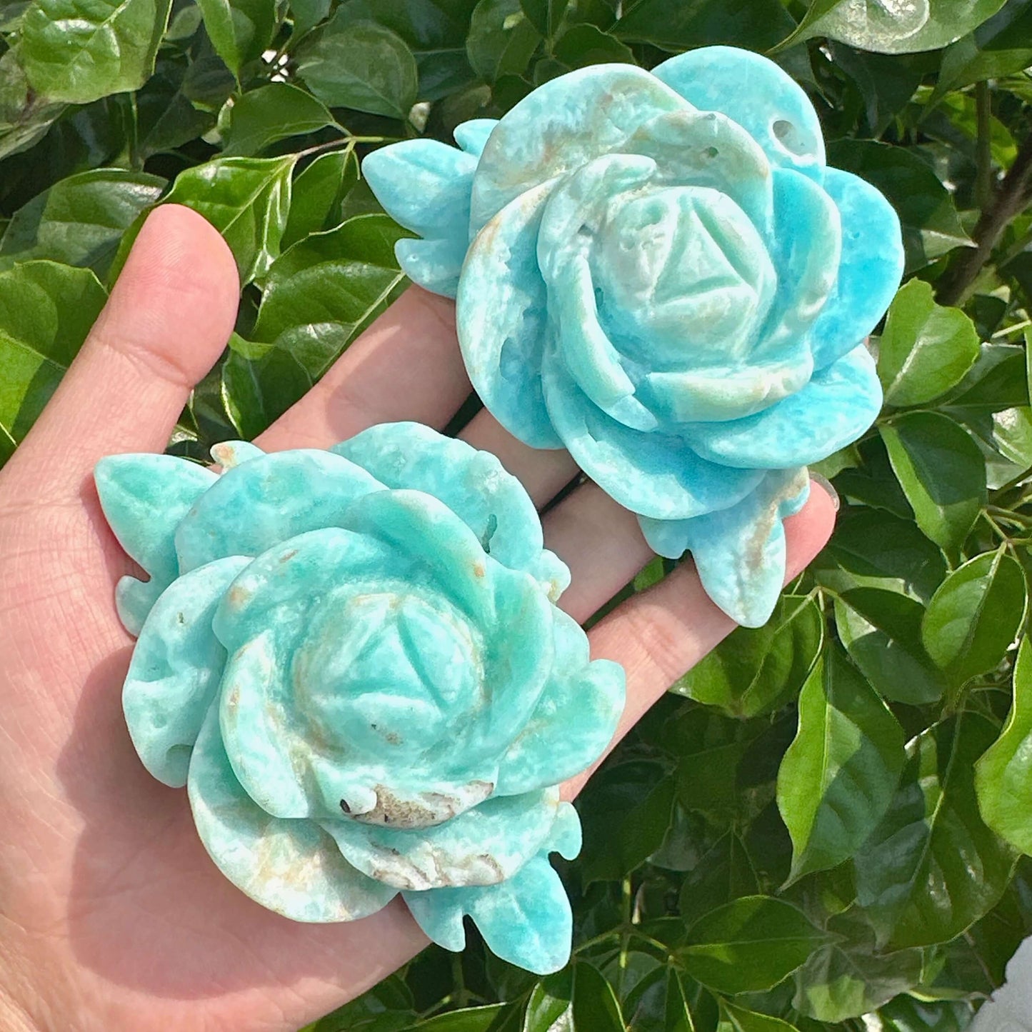 A pair of Hemimorphite Rose Carvings, highlighting the intricate craftsmanship and unique turquoise tones of the crystals.