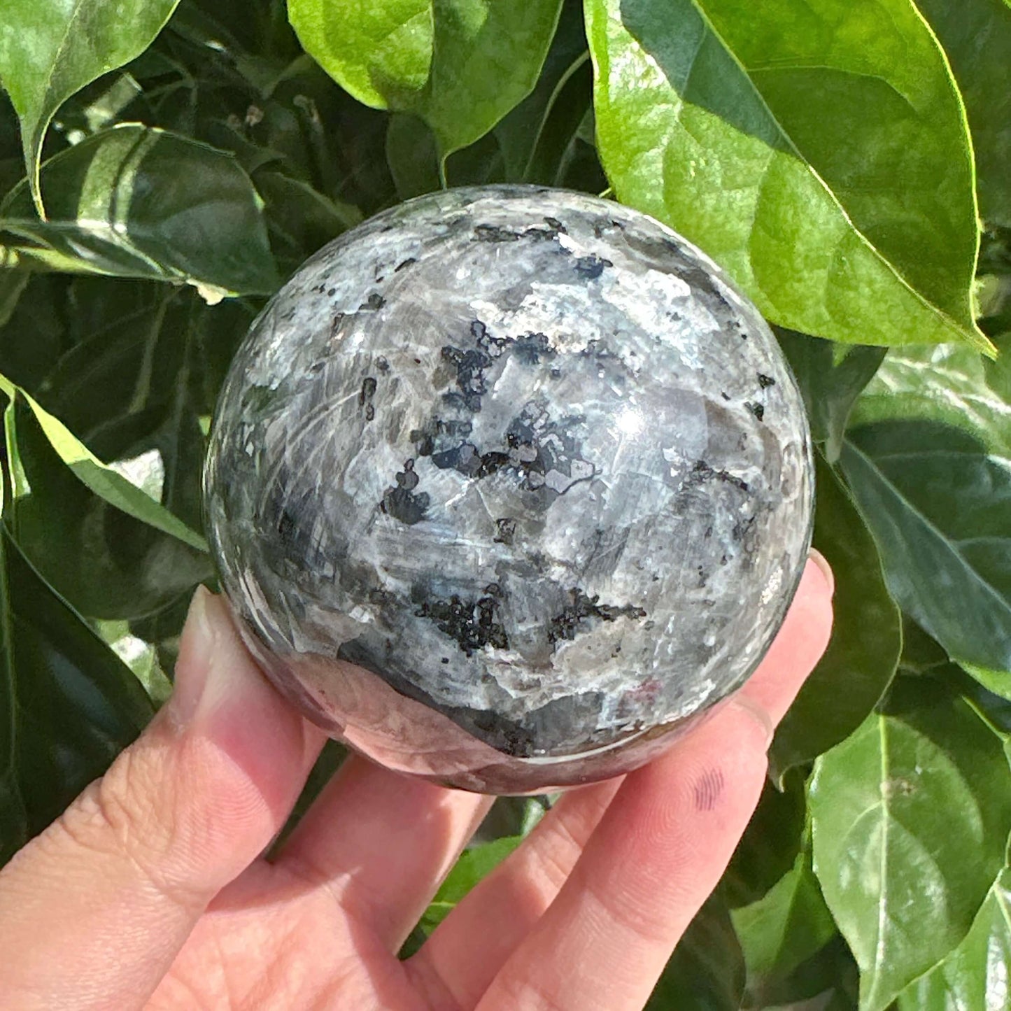 Larvikite Sphere with beautiful grayish-black patterns, capturing its natural, polished shine, enhancing any space with its energy properties.