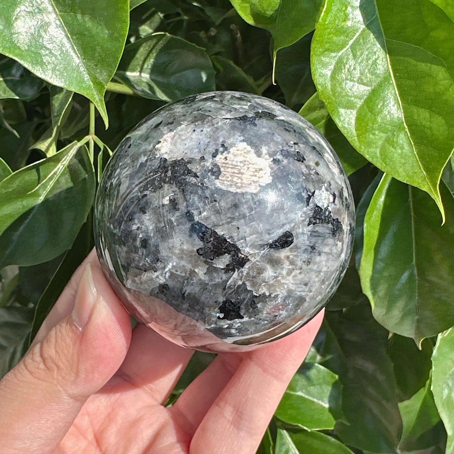 Stunning Larvikite Sphere featuring a smooth surface with striking mineral inclusions, known for its grounding and protective energy.