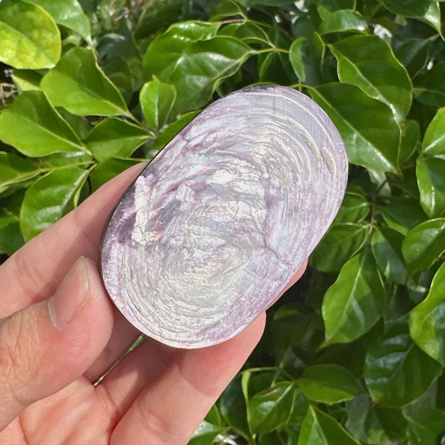 A polished Lepidolite Palm crystal with soothing purple tones, ideal for meditation and emotional balance.