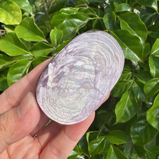 A polished Lepidolite Palm crystal with soothing purple tones, ideal for meditation and emotional balance.