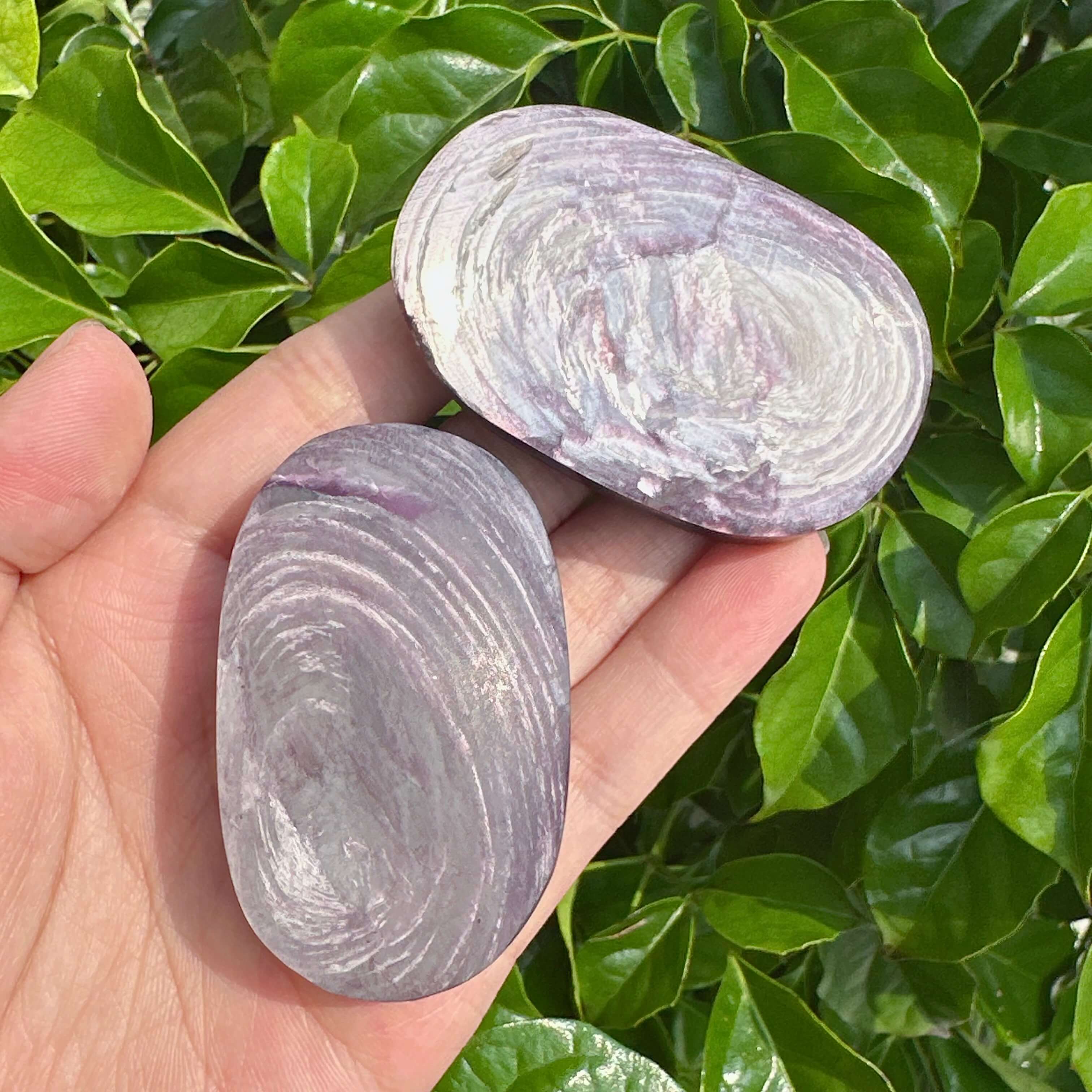 A collection of polished Lepidolite Palm crystals with a calming appearance, ideal for use in meditation, healing practices, or as decorative pieces.
