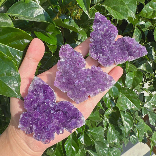 Amethyst Cluster Butterfly showcasing vibrant purple hues and intricate crystal structure.