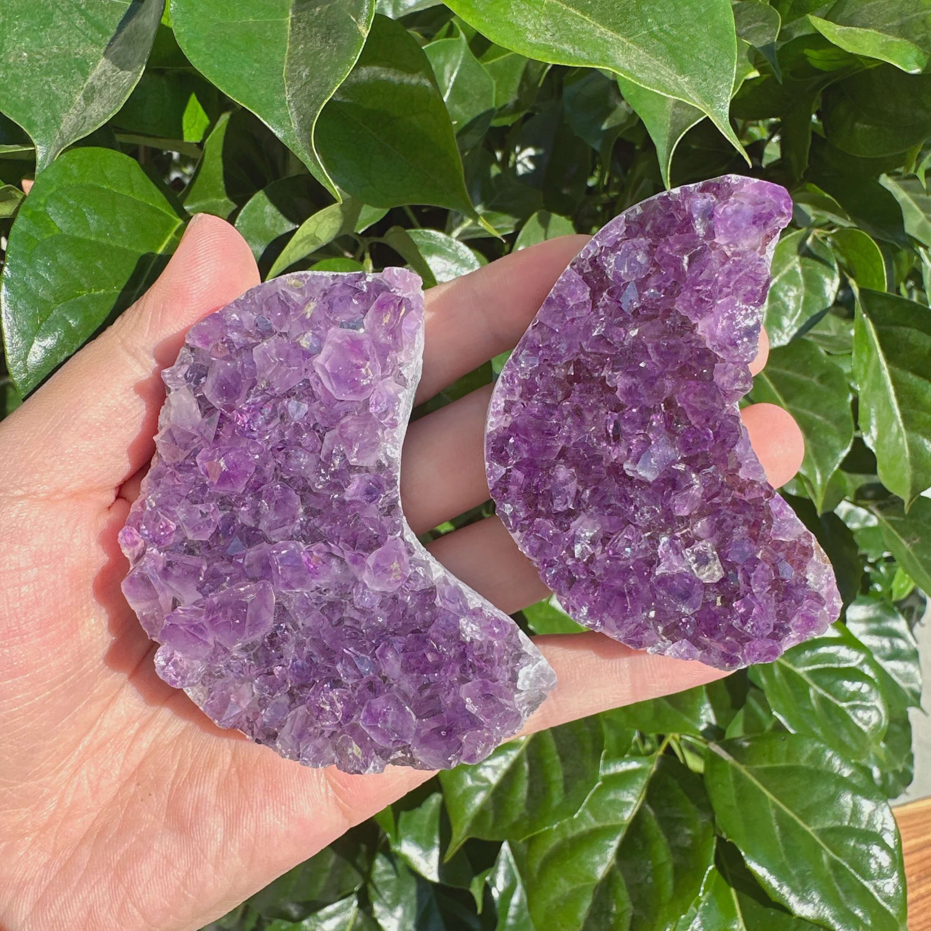 Close-up of Amethyst Cluster Moon revealing intricate crystal structures and vibrant purple hues.