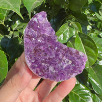 Beautiful Amethyst Cluster Moon displaying unique crystal growth and natural purple colors, enhancing any room’s decor.