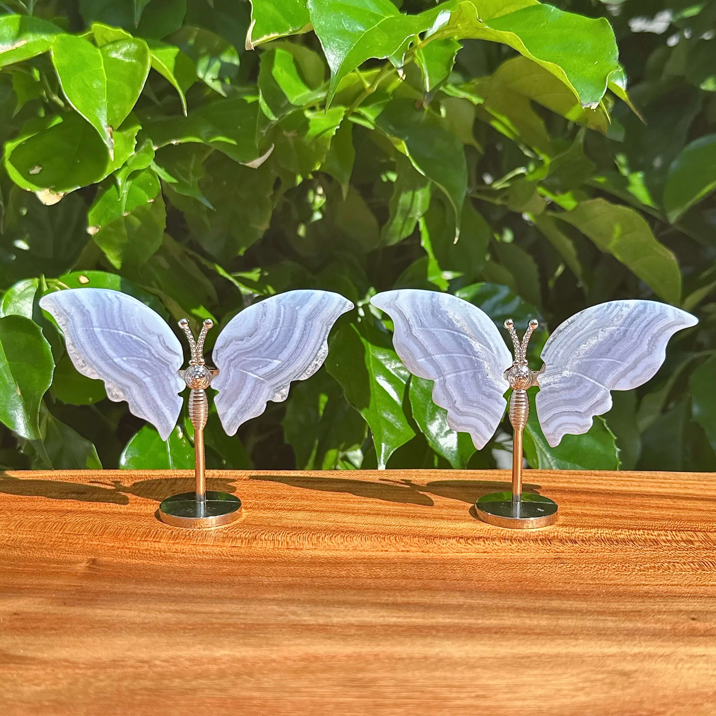 Front view of Blue Lace Agate butterfly with translucent wings, featuring a silver body and base.