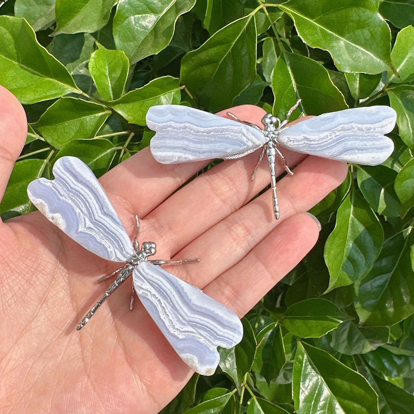 A stunning Blue Lace Agate Dragonfly sculpture with delicate wings and a detailed metal body, showcasing natural stone beauty.