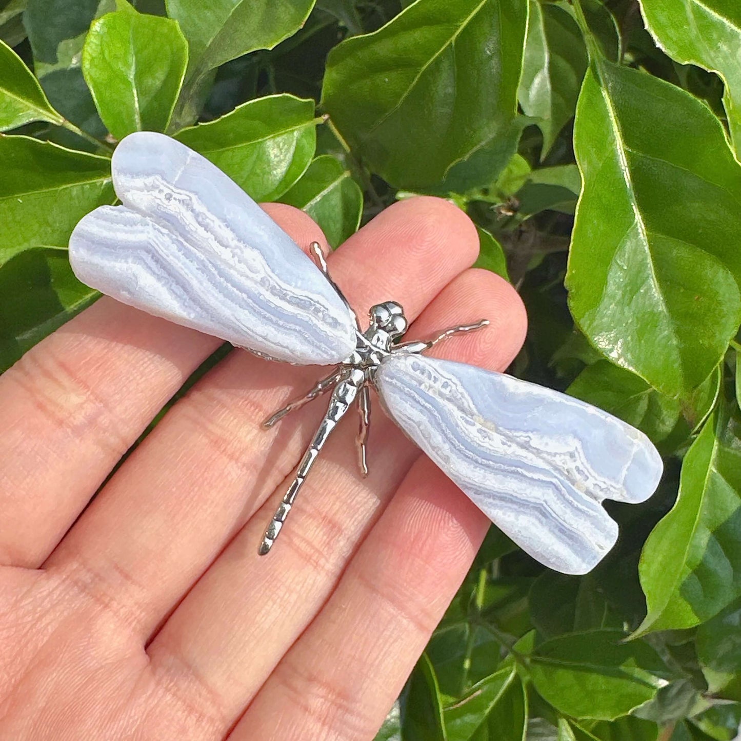 A beautiful Blue Lace Agate Dragonfly sculpture featuring intricate wings and a polished finish, perfect for nature-inspired decor.