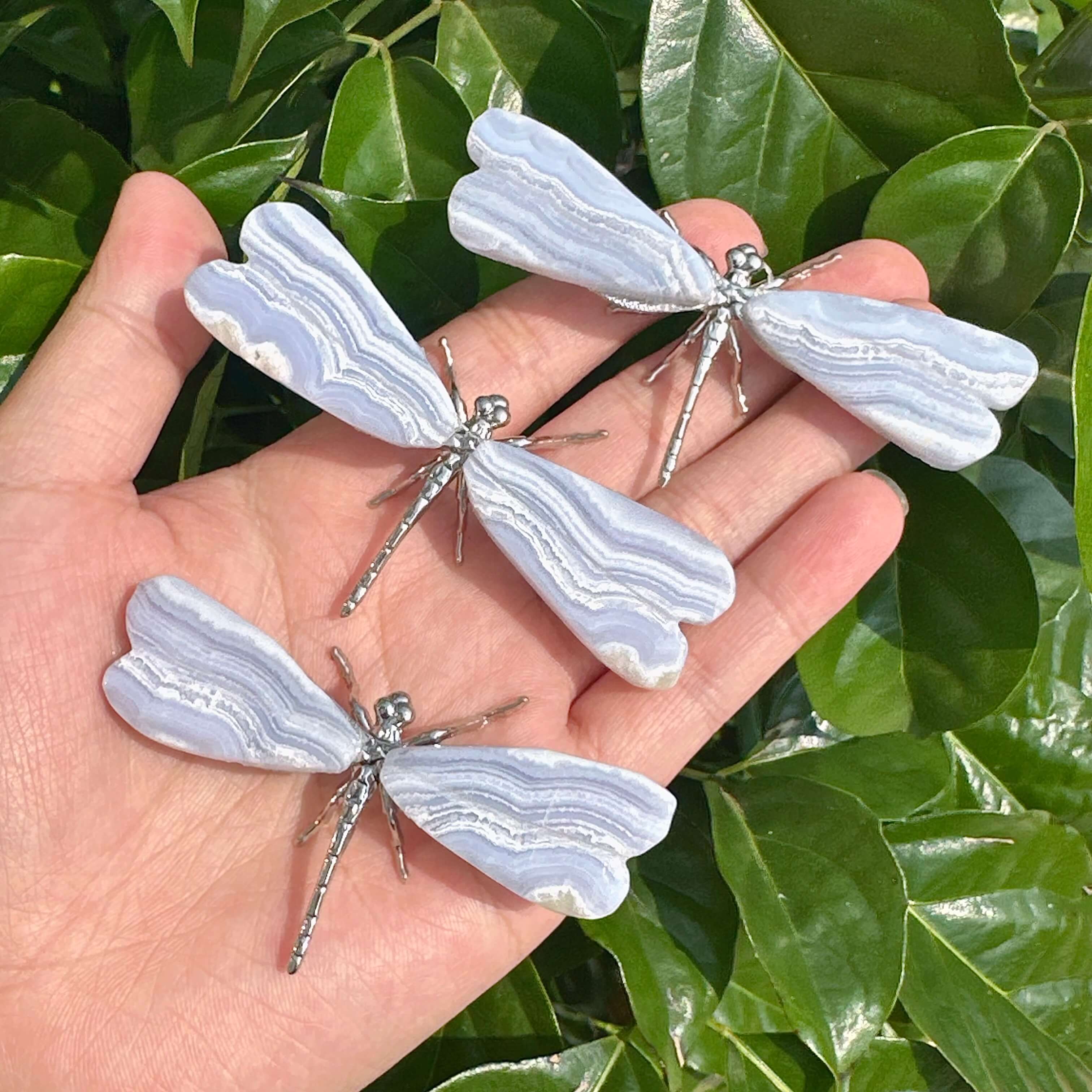 An elegant display of Blue Lace Agate Dragonfly sculptures, highlighting the intricate wings and vibrant color variations of the agate stone.