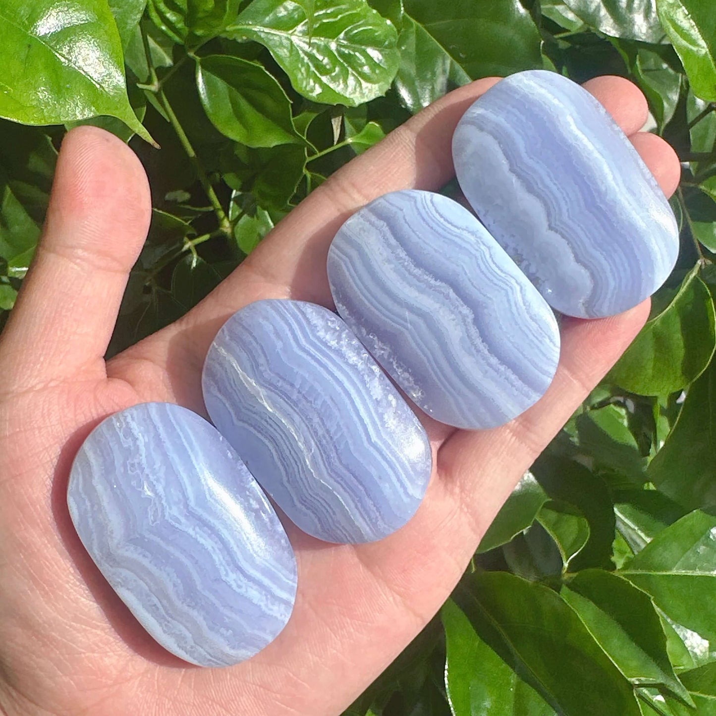 Blue Lace Agate Palm featuring gentle blue hues and intricate crystal patterns, perfect for healing and home decor.