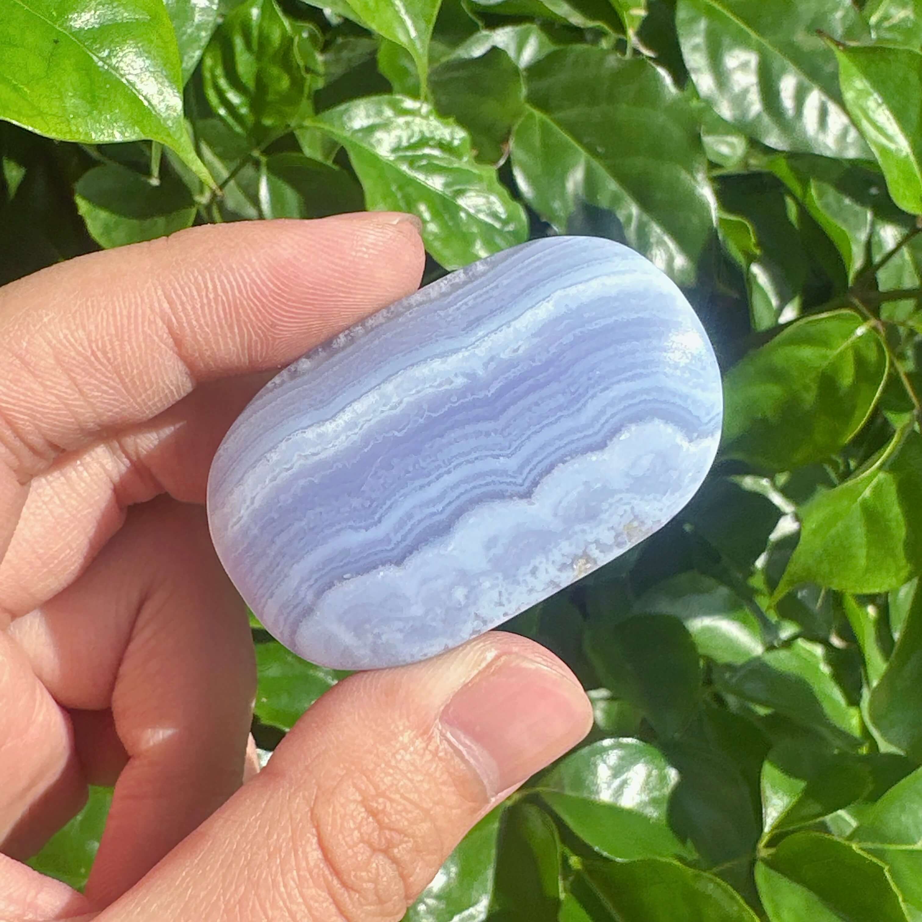 Group of Blue Lace Agate Palms with vibrant blue and white bands, ideal for decoration or as a healing stone.