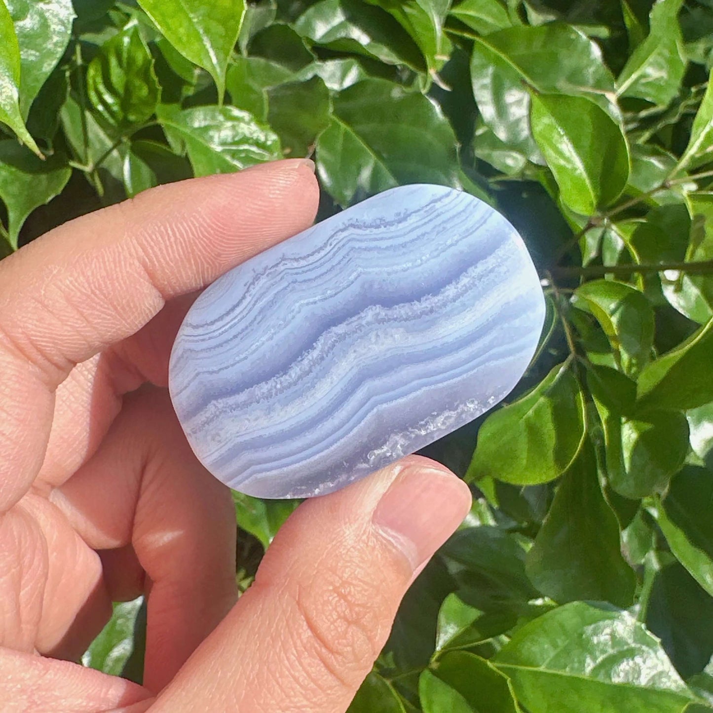 Handheld Blue Lace Agate Palm with smooth, polished surface reflecting natural light, offering tranquility and beauty.