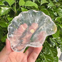 Clear Quartz Shell Bowl featuring intricate crystal formations.