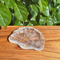 Clear Quartz Shell Bowl captured on a wooden surface with natural light highlighting its clarity.
