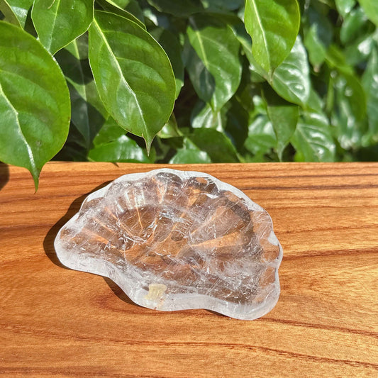 Clear Quartz Shell Bowl captured on a wooden surface with natural light highlighting its clarity.