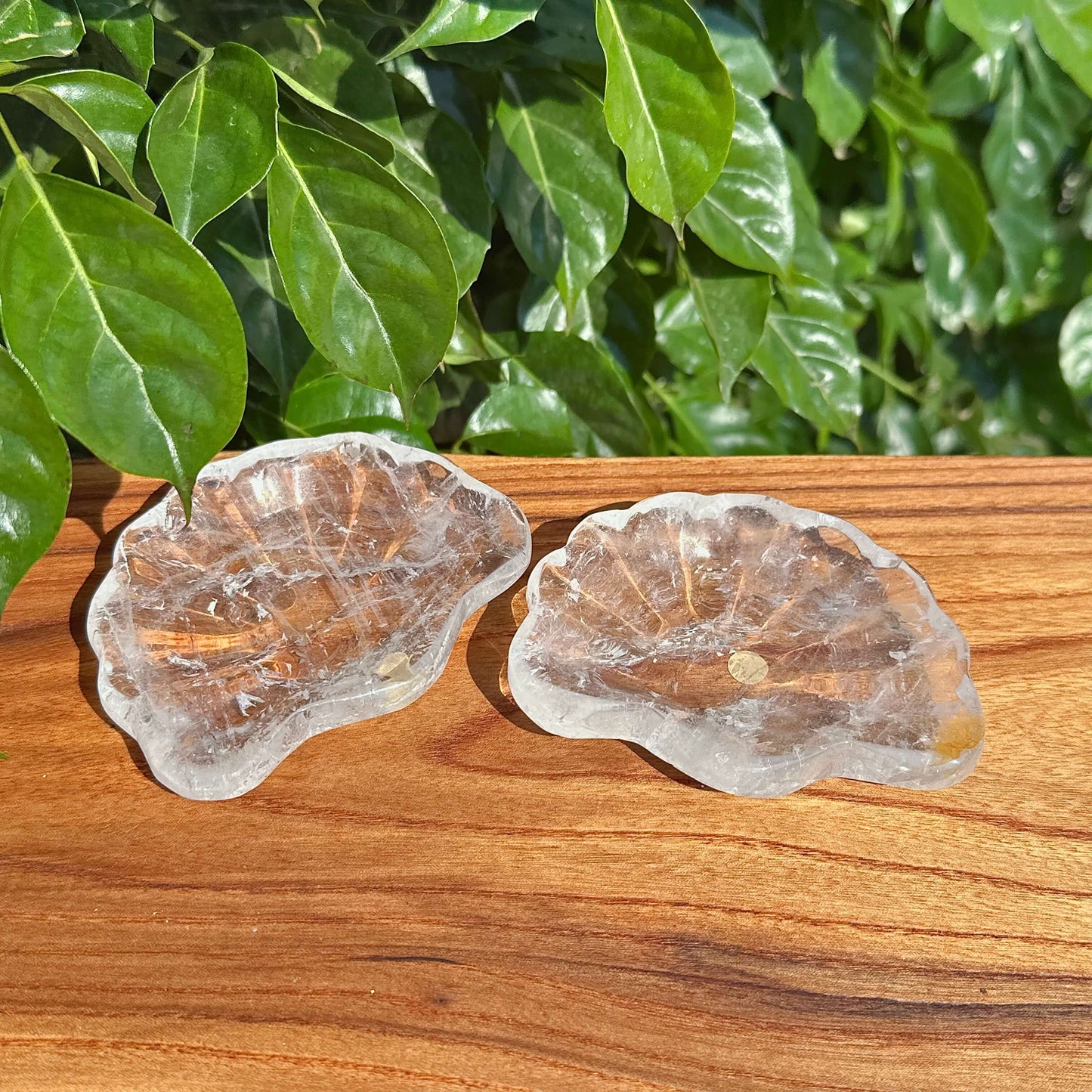 Pair of Clear Quartz Shell Bowls showcasing their sparkling transparency and fine details.