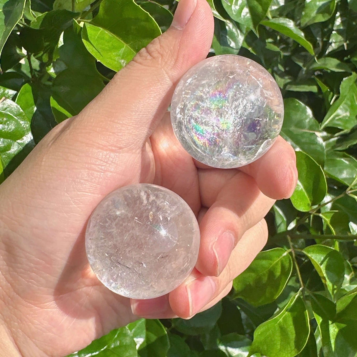 A collection of Clear Quartz Spheres, each displaying unique inclusions and shimmering light, perfect for home decor and energy work.