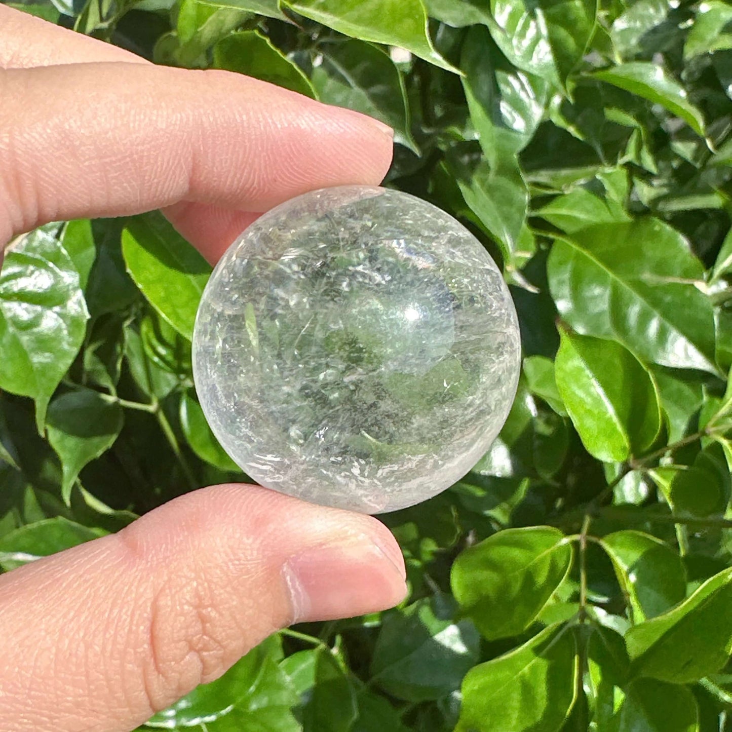 Clear Quartz Sphere held against vibrant greenery, emphasizing its transparency and healing properties for balance and clarity.