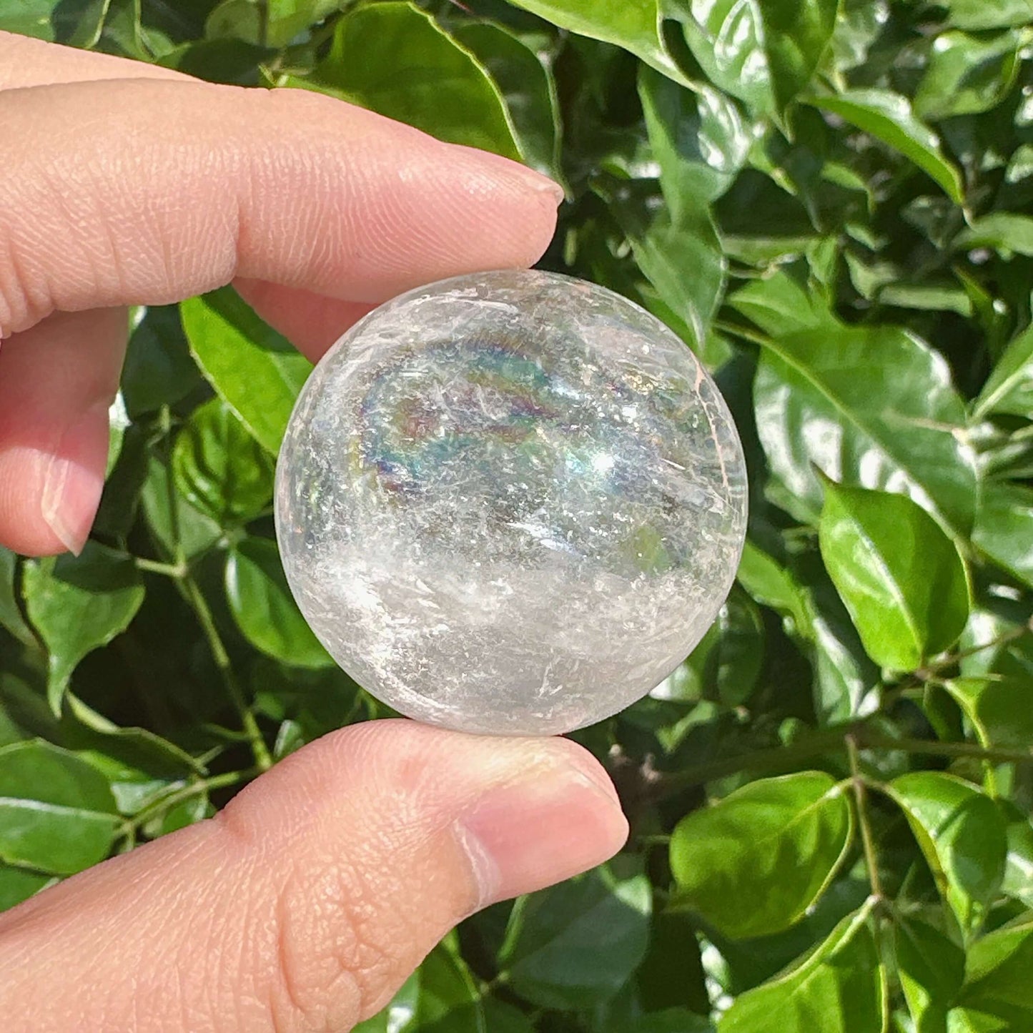 Pair of Clear Quartz Spheres, showcasing their luminous clarity and natural inclusions, ideal for meditation and energy healing.
