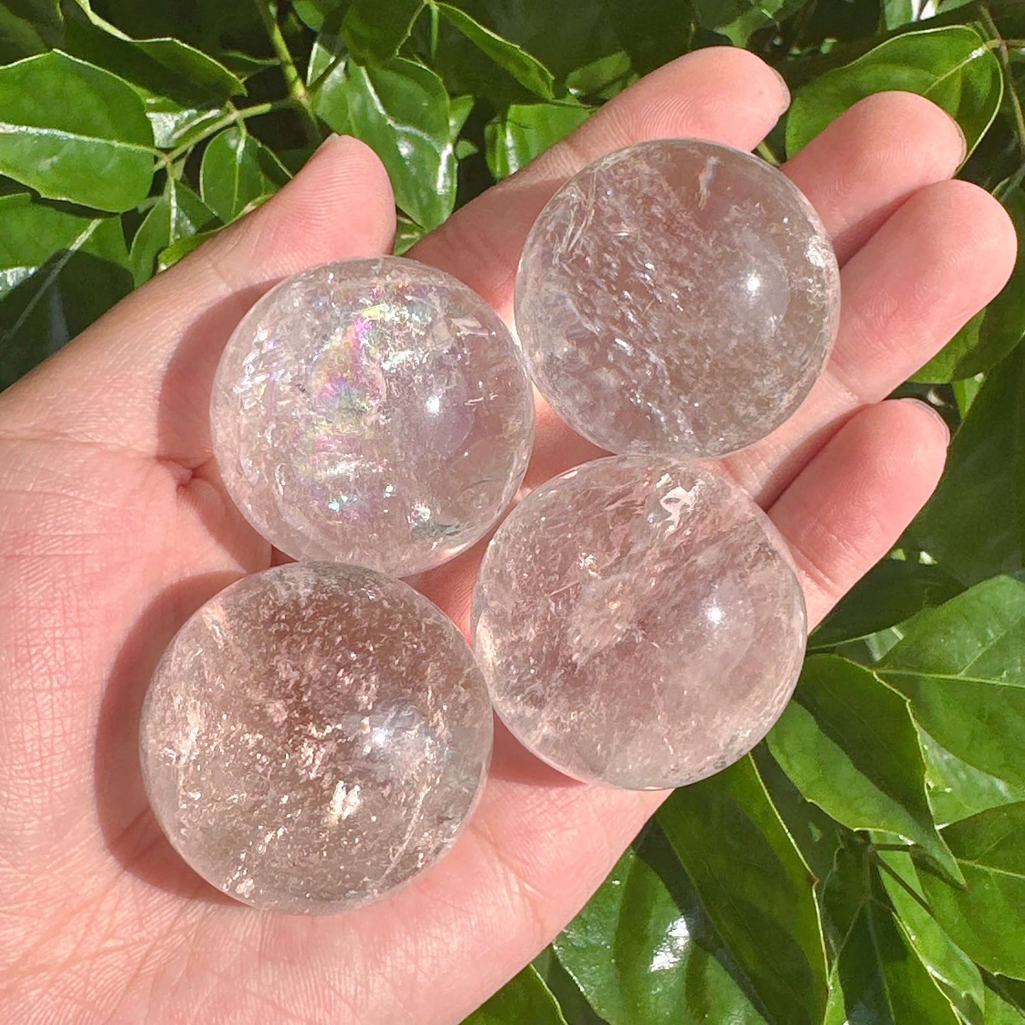 Clear Quartz Spheres, each displaying unique inclusions and shimmering light, perfect for home decor and energy work.