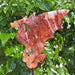 Fire Quartz Dragon Carving, detailed crystal sculpture featuring a dynamic dragon design with intricate carvings.