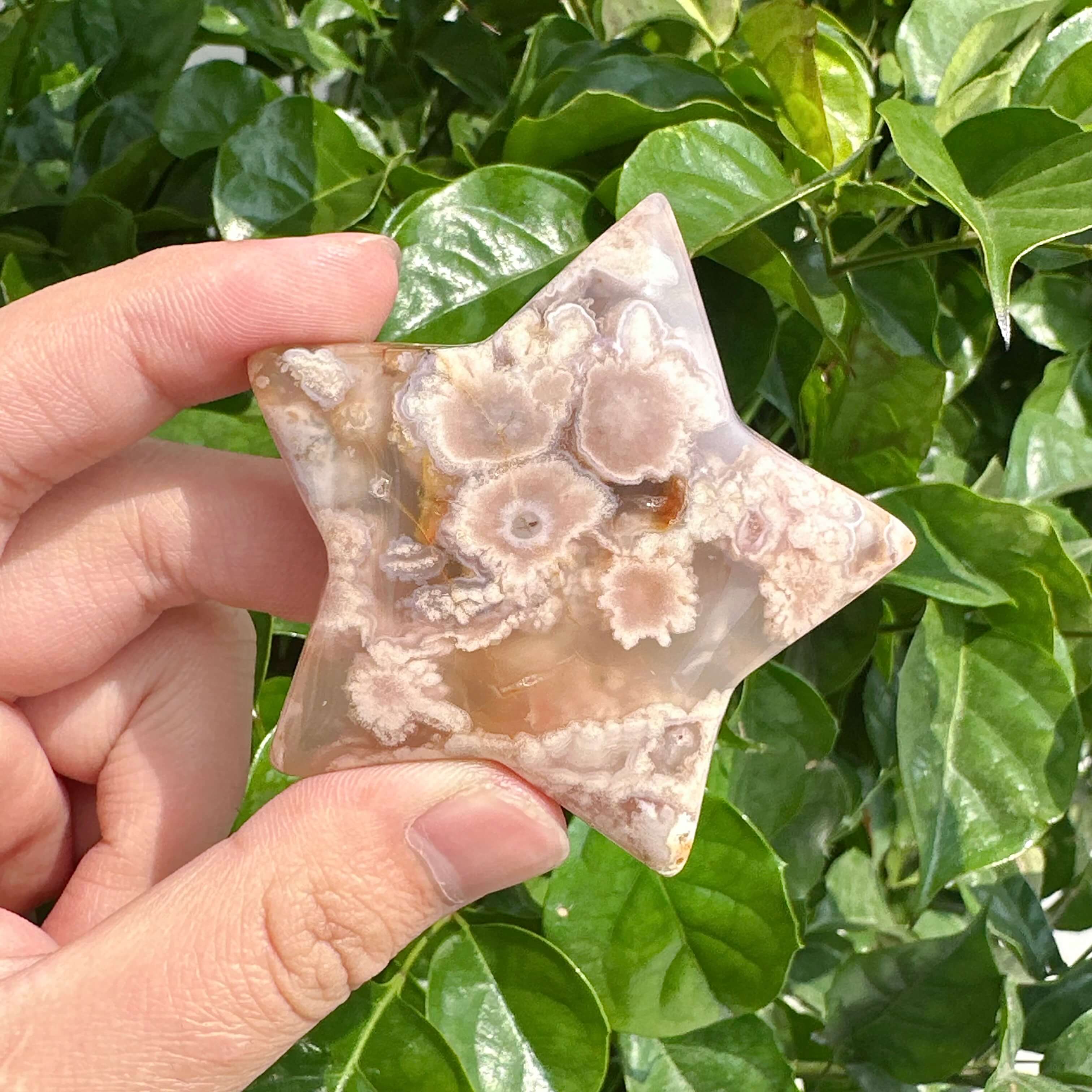Close-up view of Flower Agate star carving showcasing intricate patterns and natural crystal formations
