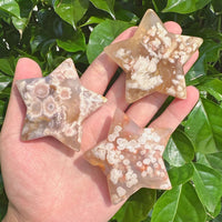 Group of Flower Agate star carvings with natural patterns and calming colors