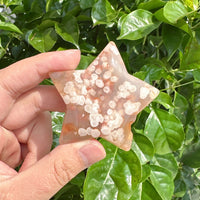 Flower Agate star carving with beautiful swirls and healing energy, perfect for crystal collectors