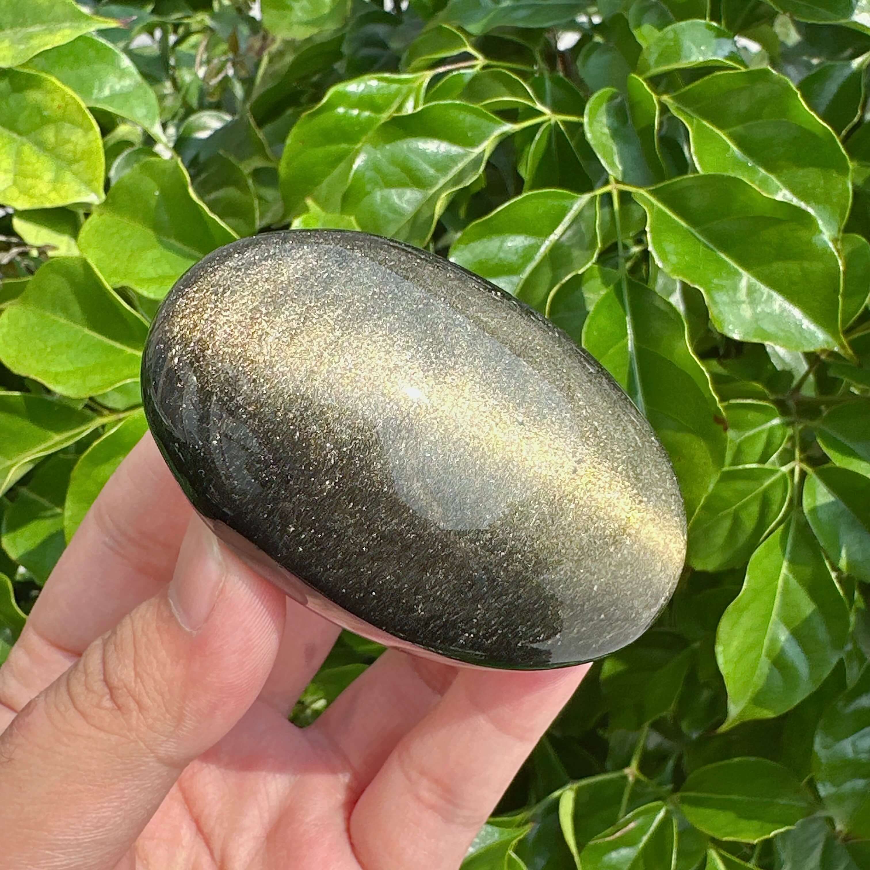 Close-up of two polished Golden Obsidian Palm Stones showcasing their glossy finish and unique golden sheen.