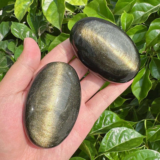 Shiny Golden Obsidian Palm Stone with gold highlights, set against a backdrop of lush green foliage.