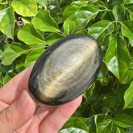 Two Golden Obsidian Palm Stones showing off their high-polish finish and shimmering metallic bands.