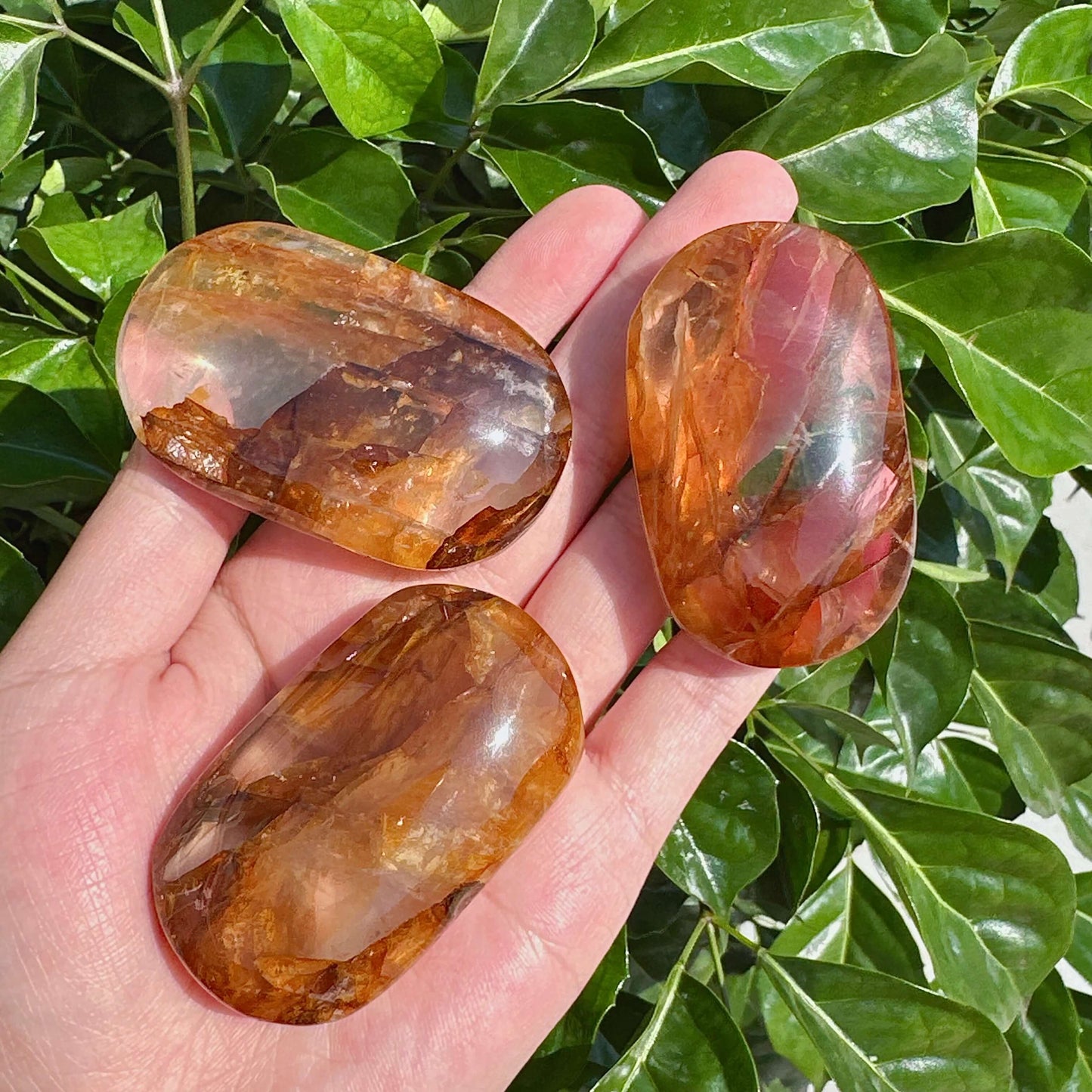 Golden Healer Palm stone with a radiant, golden hue, ideal for healing and energy work.