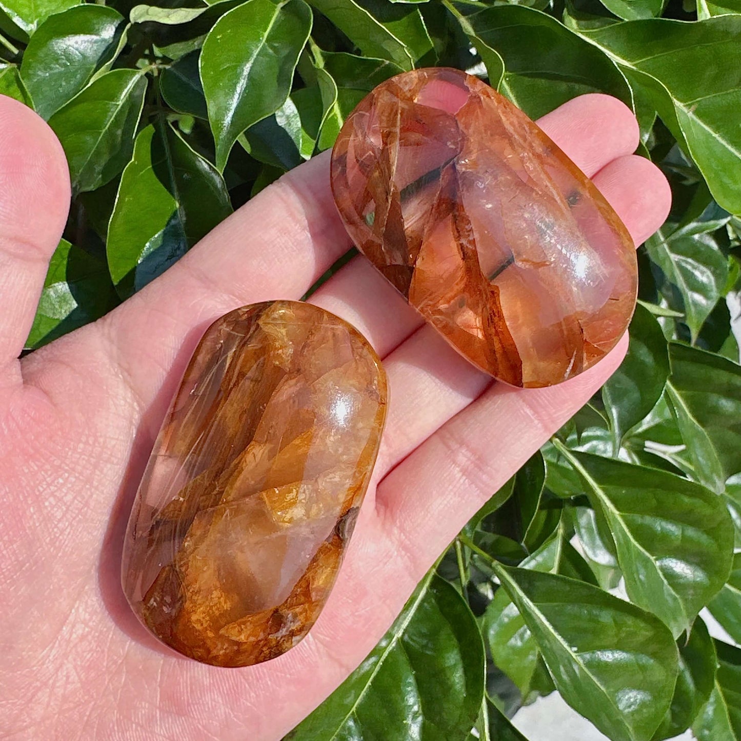 Vibrant Golden Healer Palm stone, highlighting its energetic properties for personal growth and spiritual healing.