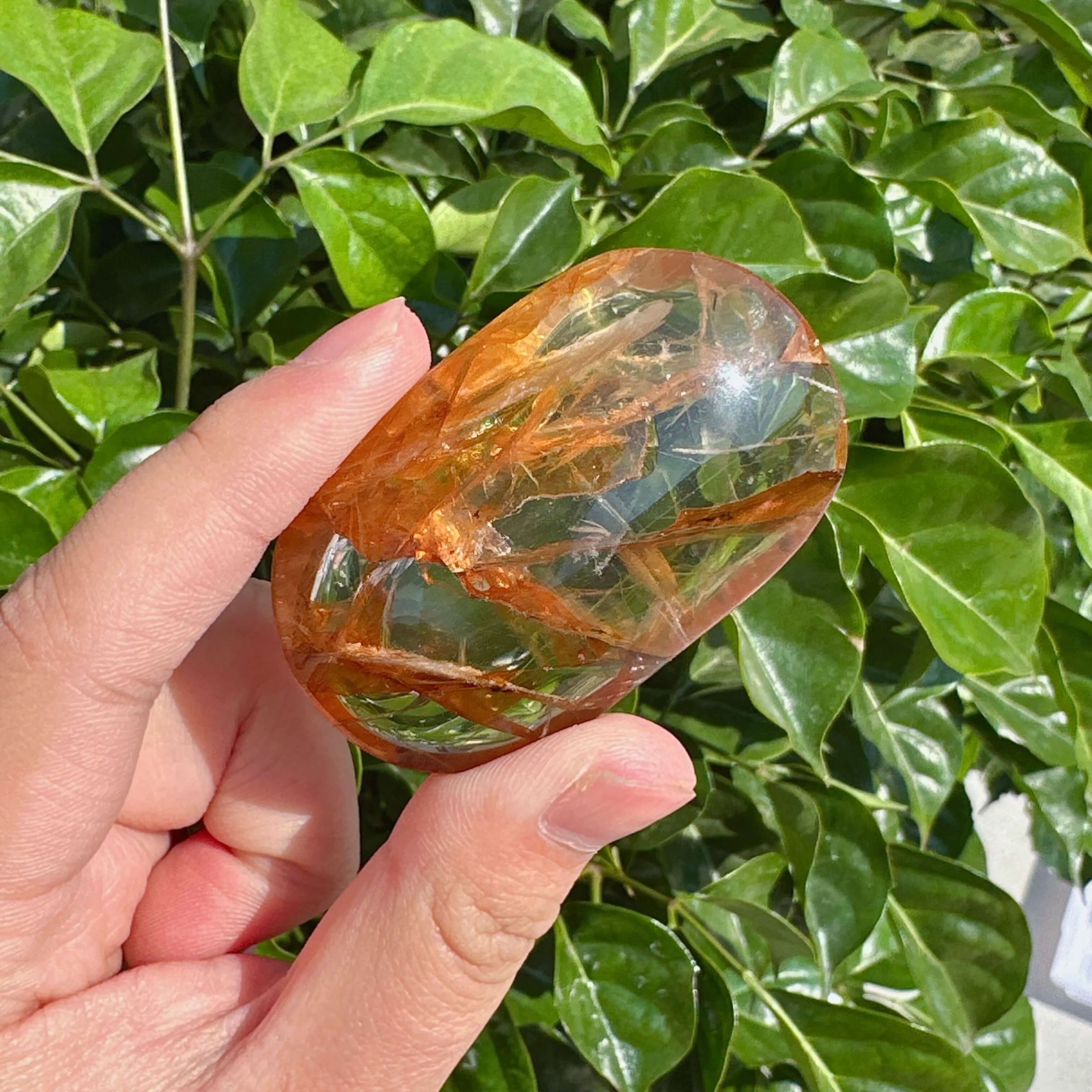 Two Golden Healer Palm stones resting on a wooden surface, with clear, shimmering quartz and golden streaks.
