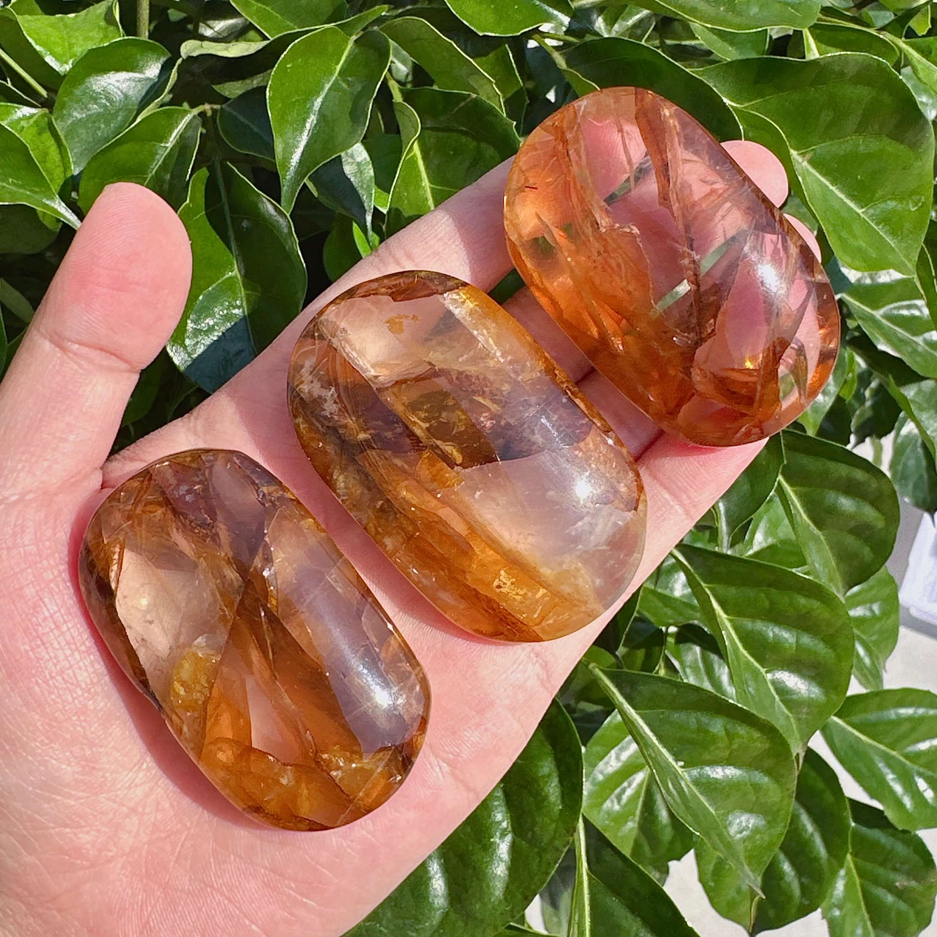 A stunning Golden Healer Palm stone in hand, reflecting the natural golden colors and energy of the crystal.