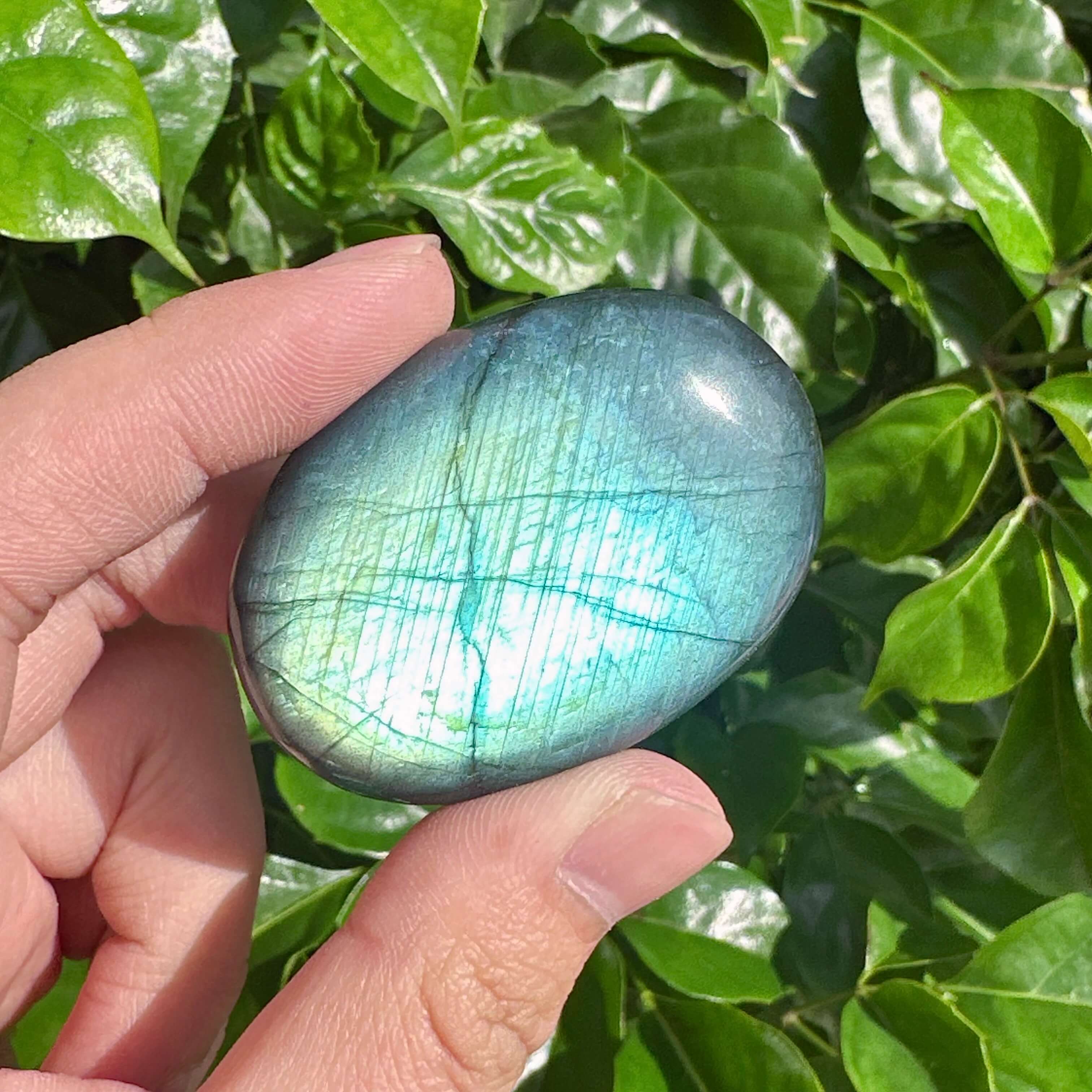 Labradorite Palm Stone in hand, showing off its vibrant iridescent color play, ideal for crystal healing and energy balancing.