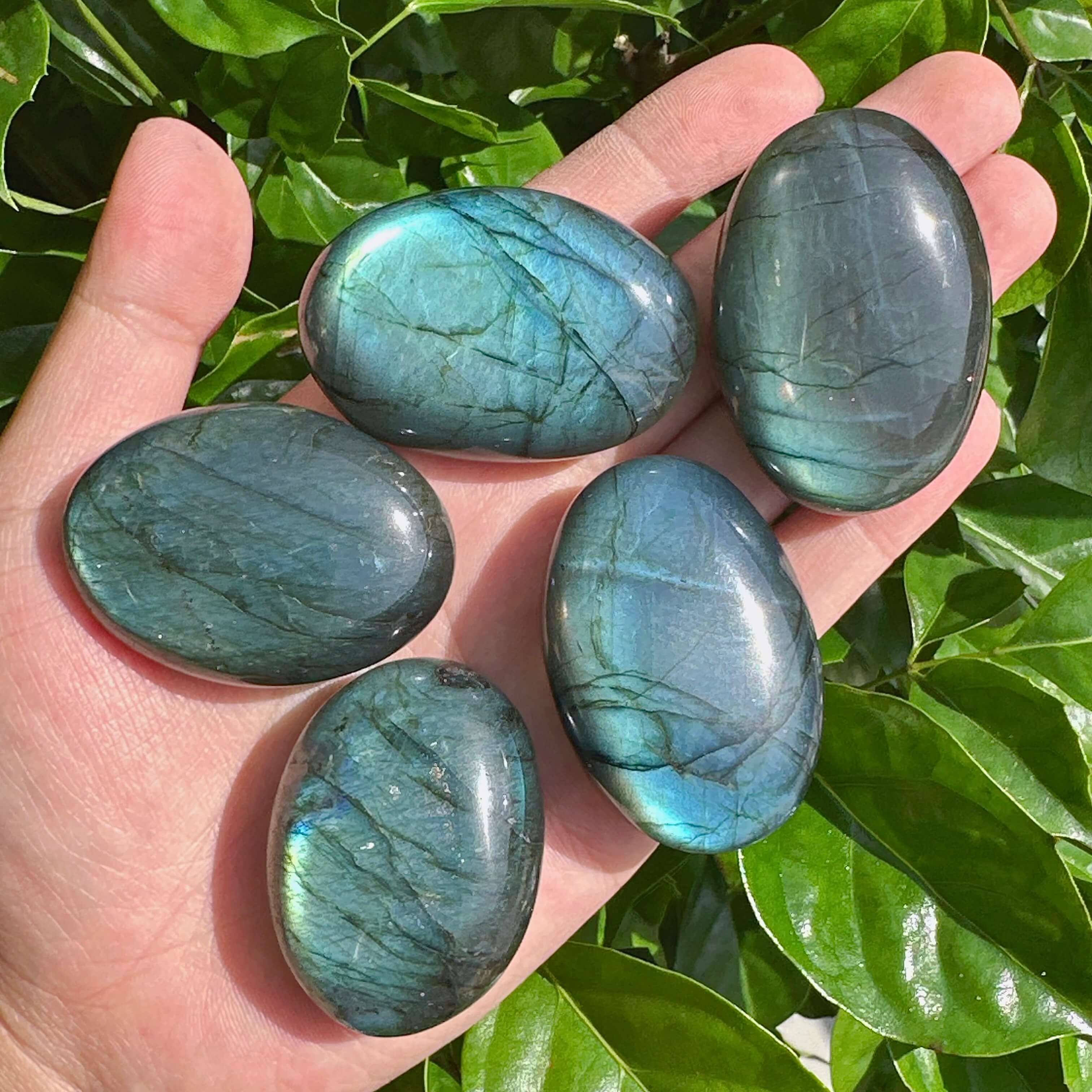 Close-up of a Labradorite Palm Stone, displaying the unique iridescent play of color in the crystal.