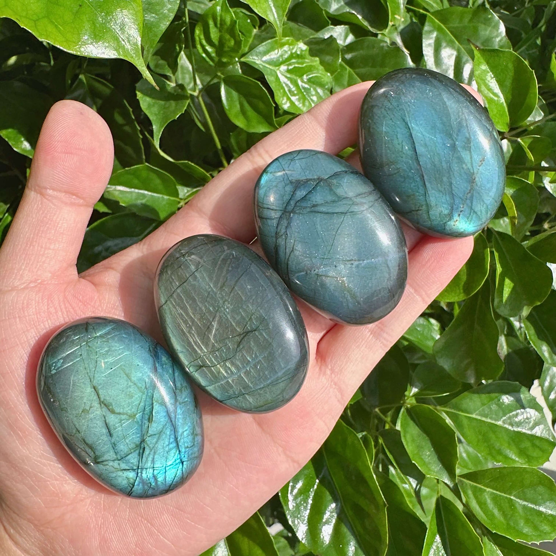 Labradorite Palm Stone showcasing iridescent blue and green glow, a beautiful gemstone with natural patterns.