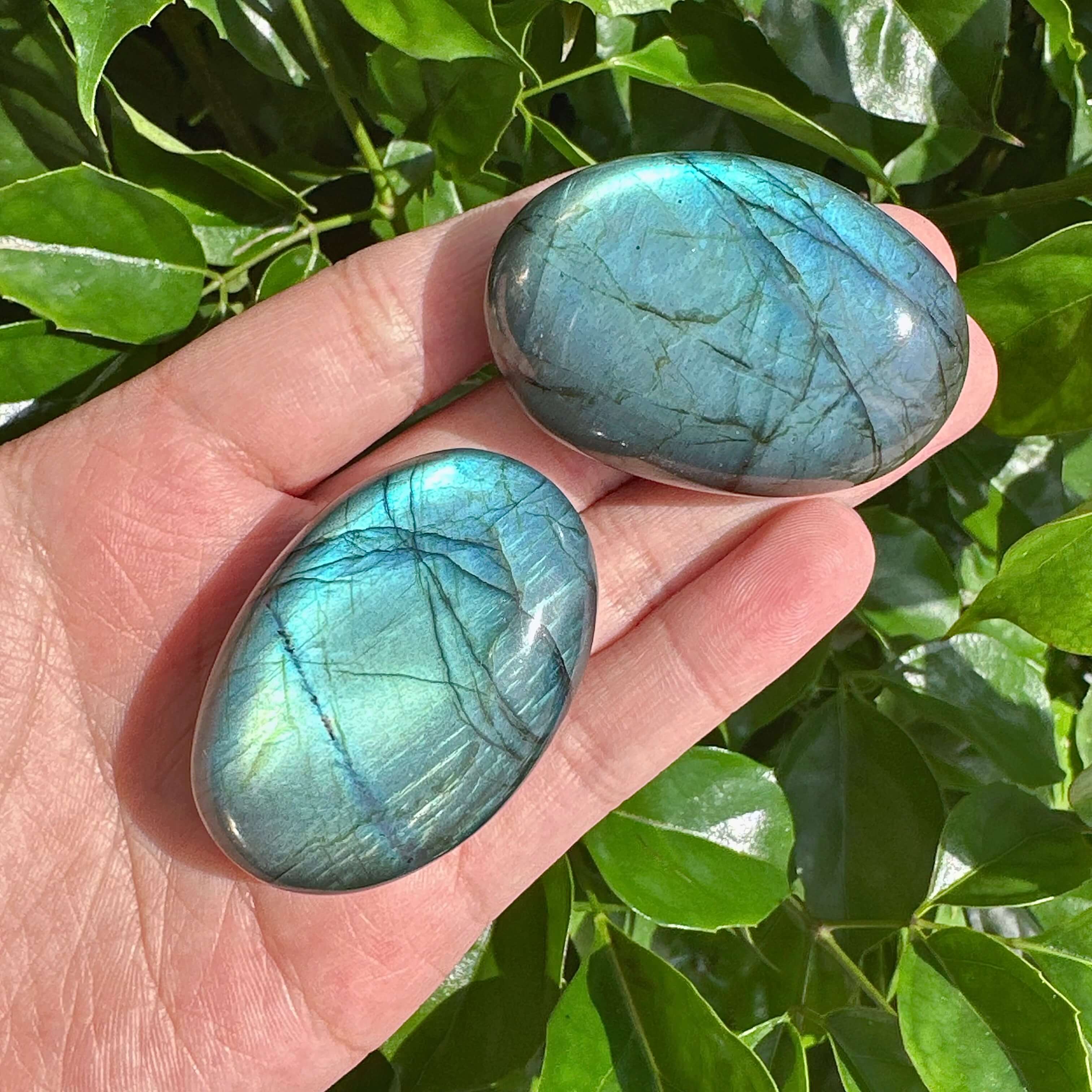 A collection of Labradorite Palm Stones with shimmering blue and green hues, reflecting the natural beauty of this healing crystal.
