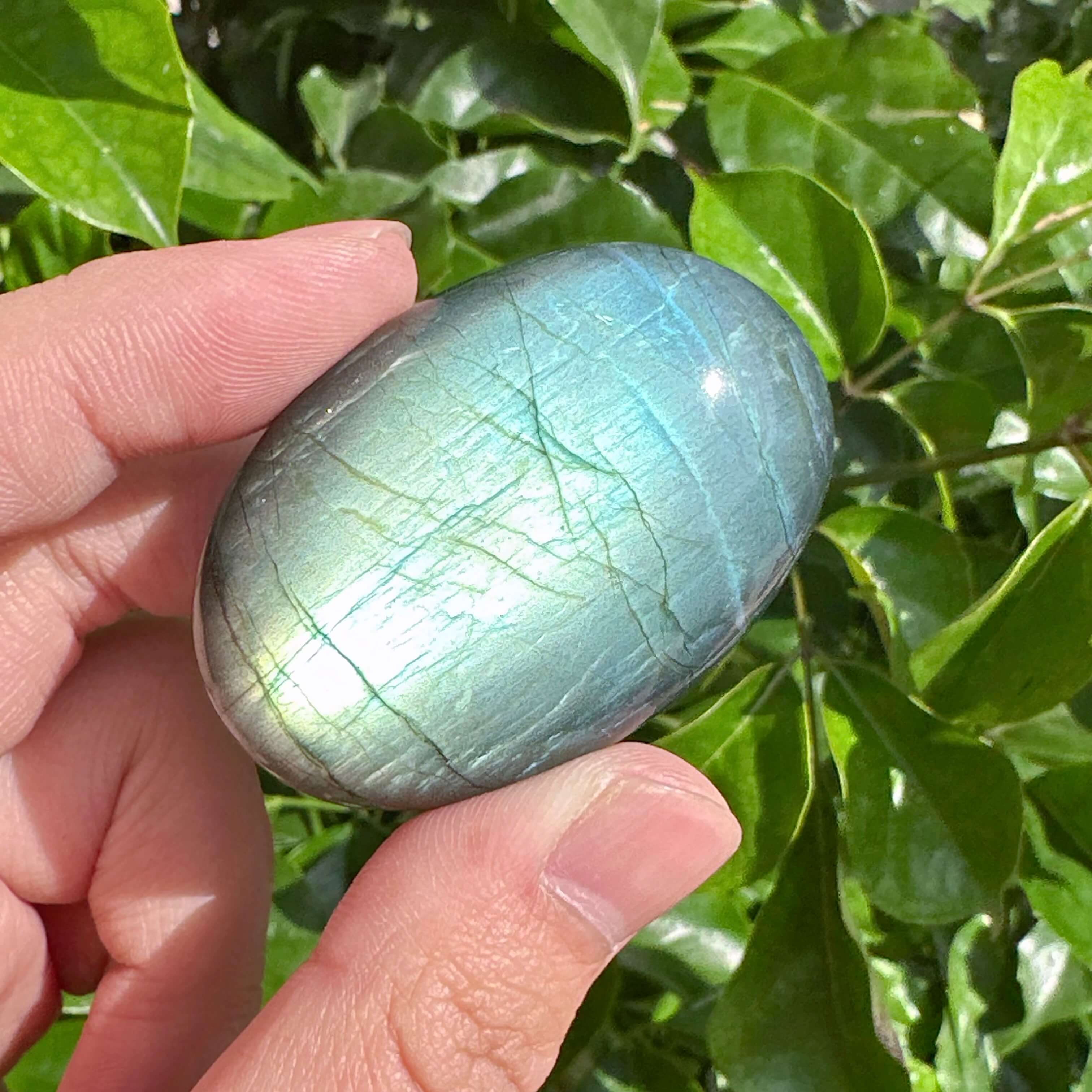 Shimmering Labradorite Palm Stones with their characteristic blue-green sheen, perfect for meditation and energy work.