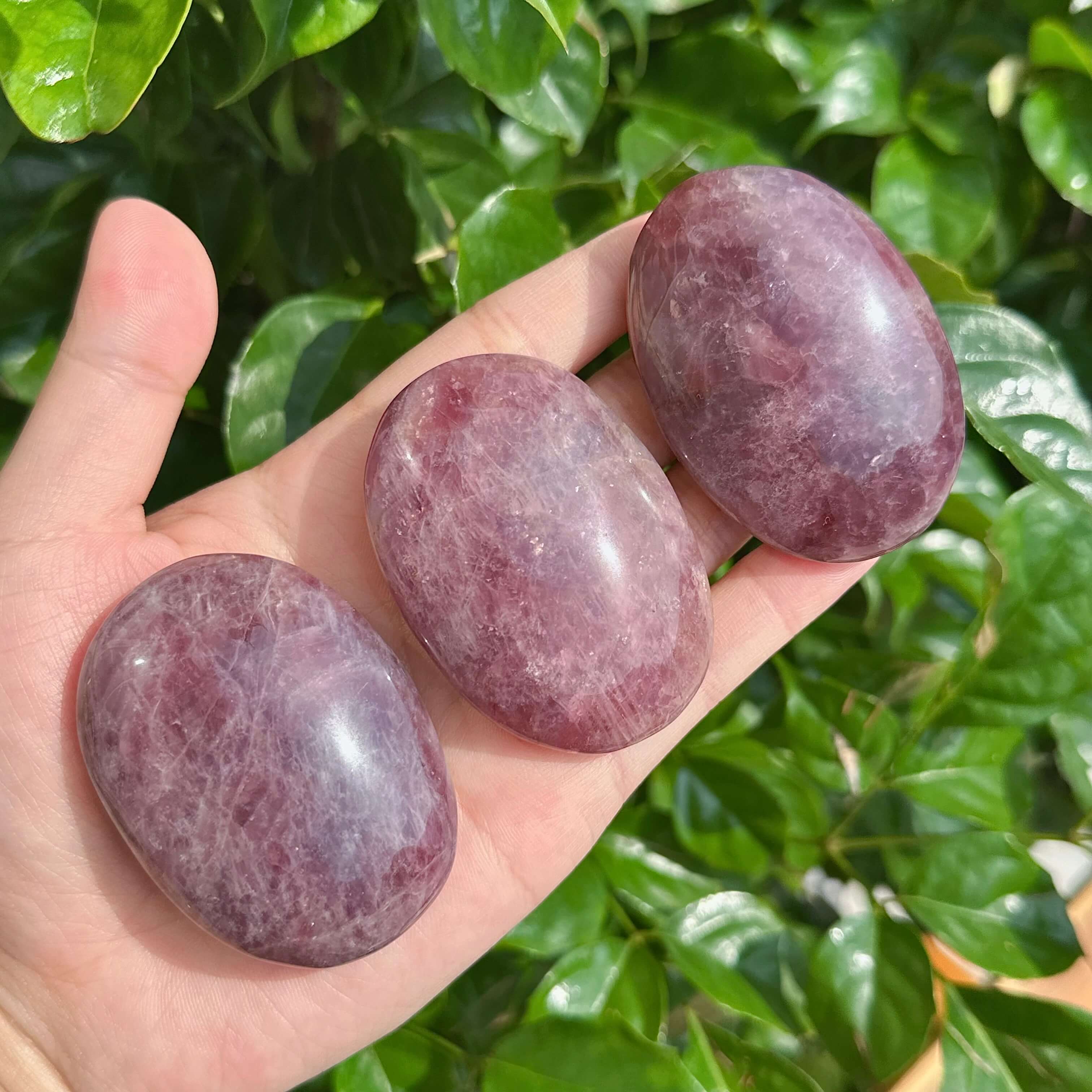 Close-up of Lavender Rose Quartz Palm Stone, highlighting the calming lavender color and smooth surface for stress relief and crystal healing.