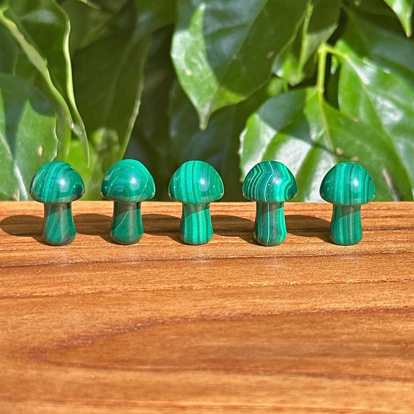 Malachite Mini Mushroom with vibrant green bands, showcasing the crystal's unique texture and natural beauty.