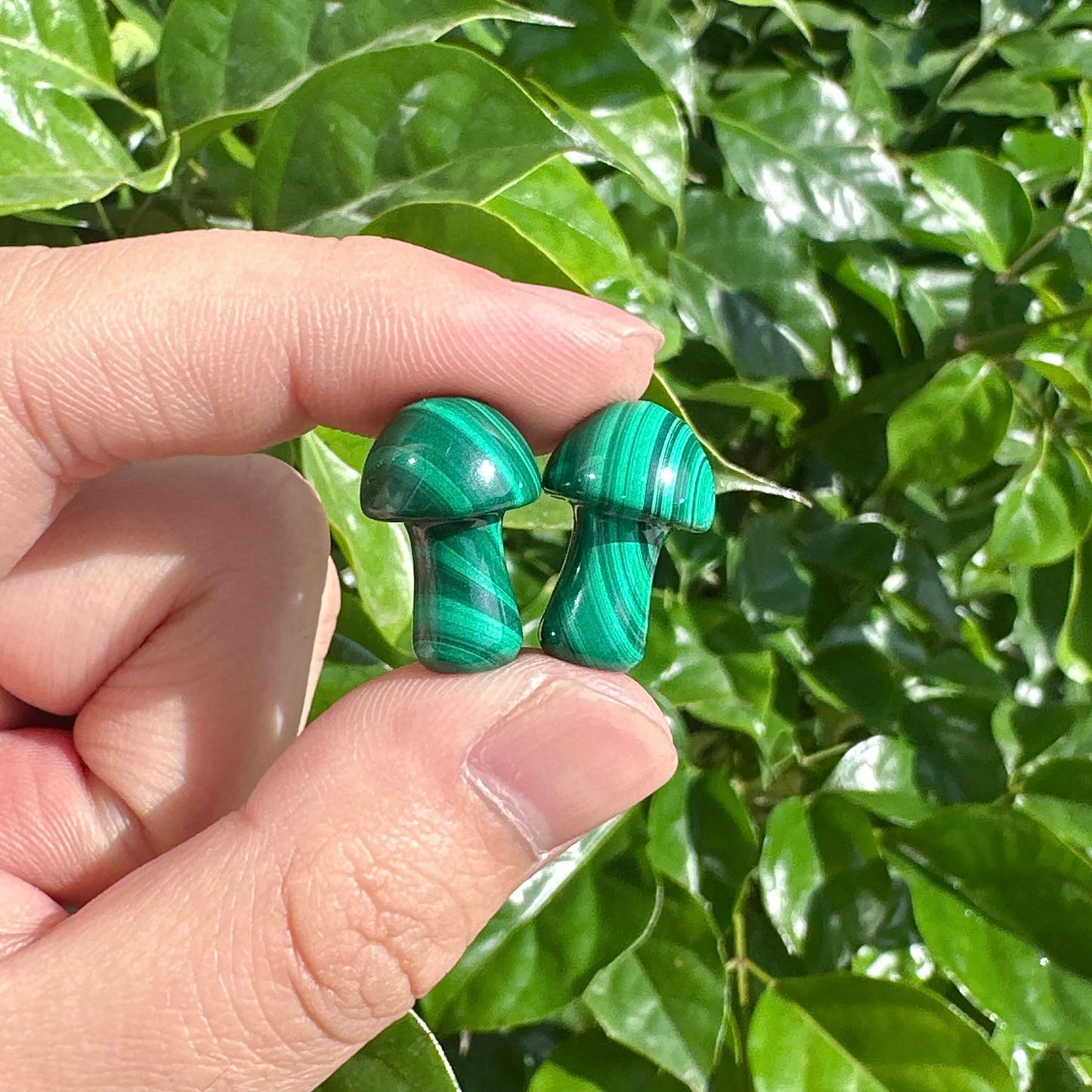 A beautifully polished Malachite Mini Mushroom, displaying the rich green hues and intricate patterns of the crystal.